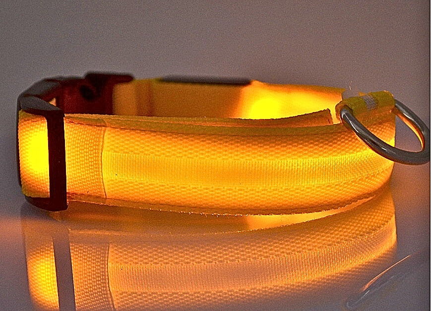 LED Hundhalsband i Nylon – Lysande & Justerbart