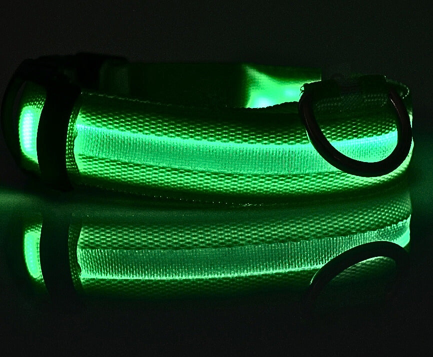 LED Hundhalsband i Nylon – Lysande & Justerbart