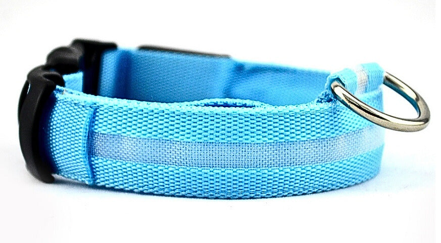 LED Hundhalsband i Nylon – Lysande & Justerbart