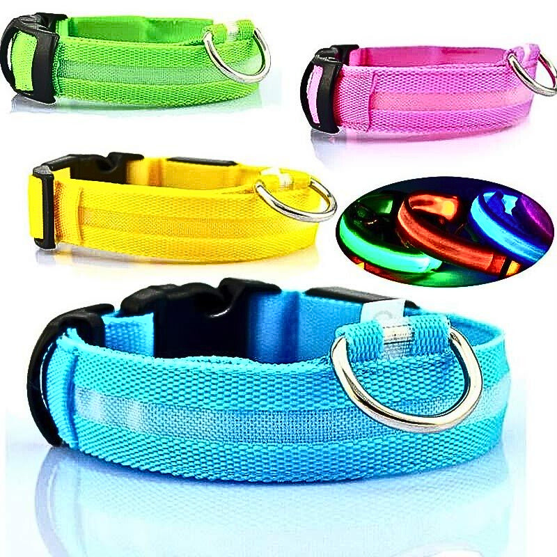 LED Hundhalsband i Nylon – Lysande & Justerbart