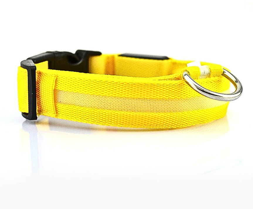 LED Hundhalsband i Nylon – Lysande & Justerbart