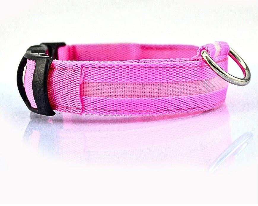 LED Hundhalsband i Nylon – Lysande & Justerbart