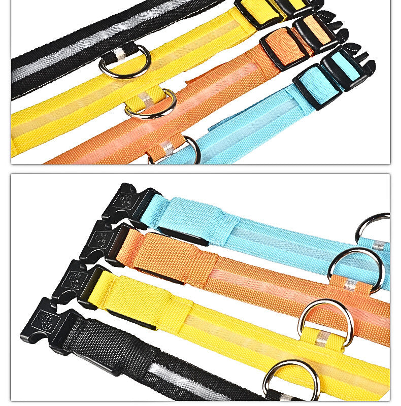 LED Hundhalsband i Nylon – Lysande & Justerbart