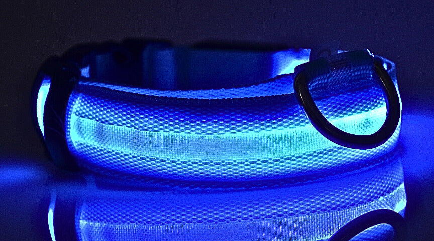LED Hundhalsband i Nylon – Lysande & Justerbart