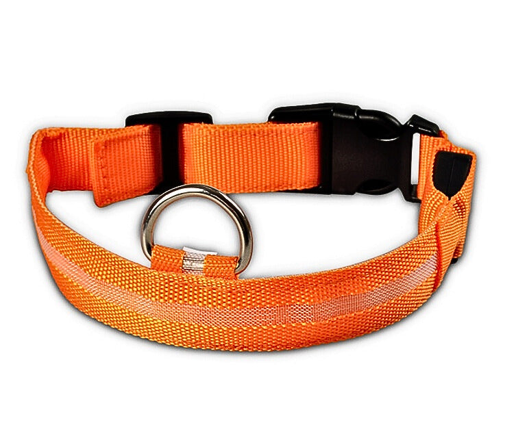LED Hundhalsband i Nylon – Lysande & Justerbart