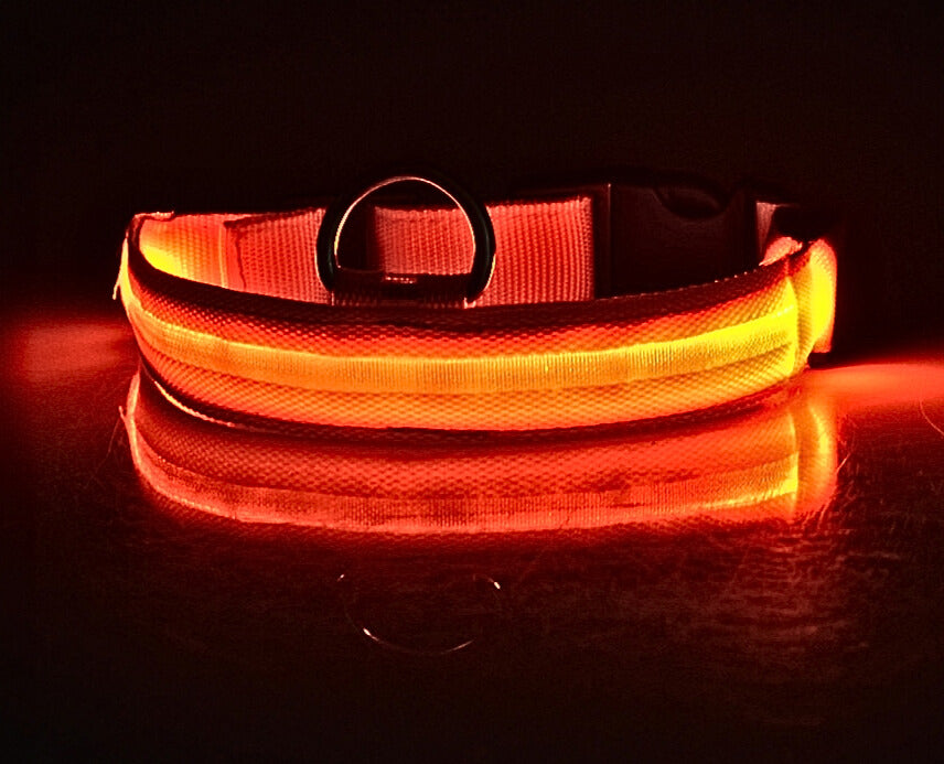 LED Hundhalsband i Nylon – Lysande & Justerbart
