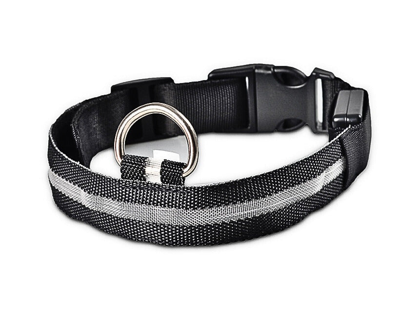 LED Hundhalsband i Nylon – Lysande & Justerbart