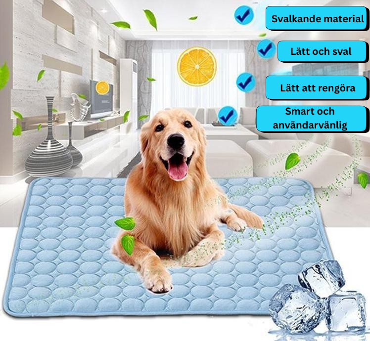 Svalkande kyl dyna för hund & katt