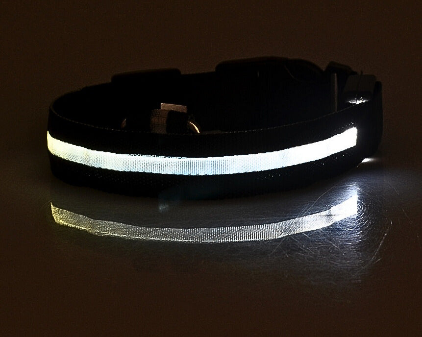 LED Hundhalsband i Nylon – Lysande & Justerbart