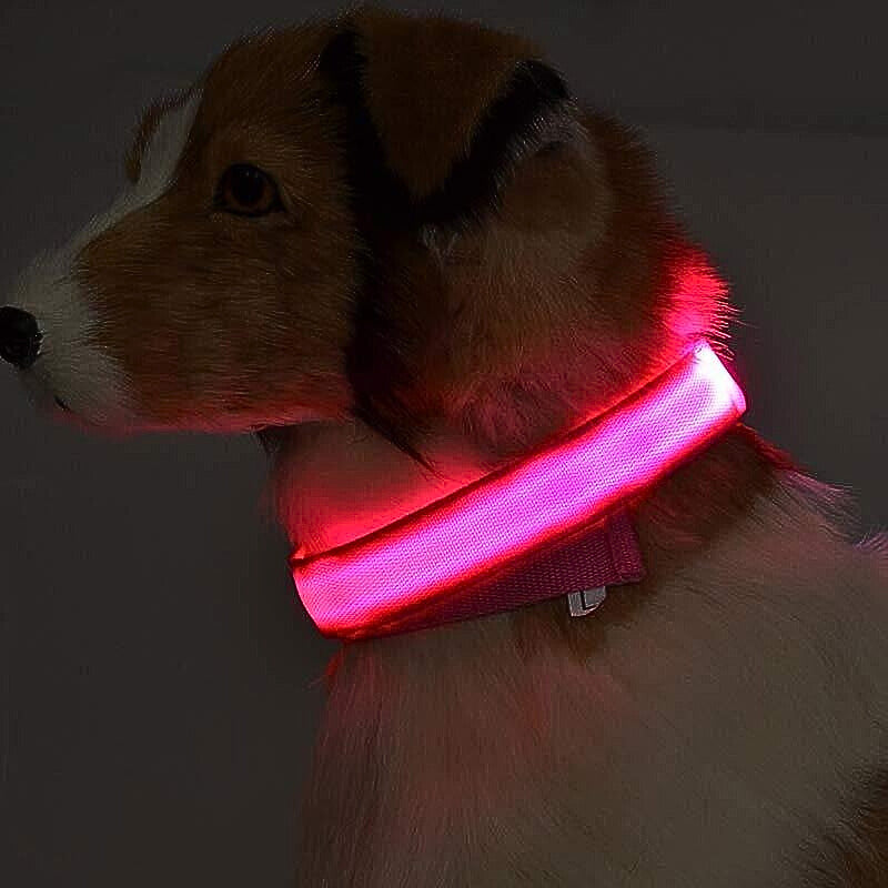 LED Hundhalsband i Nylon – Lysande & Justerbart