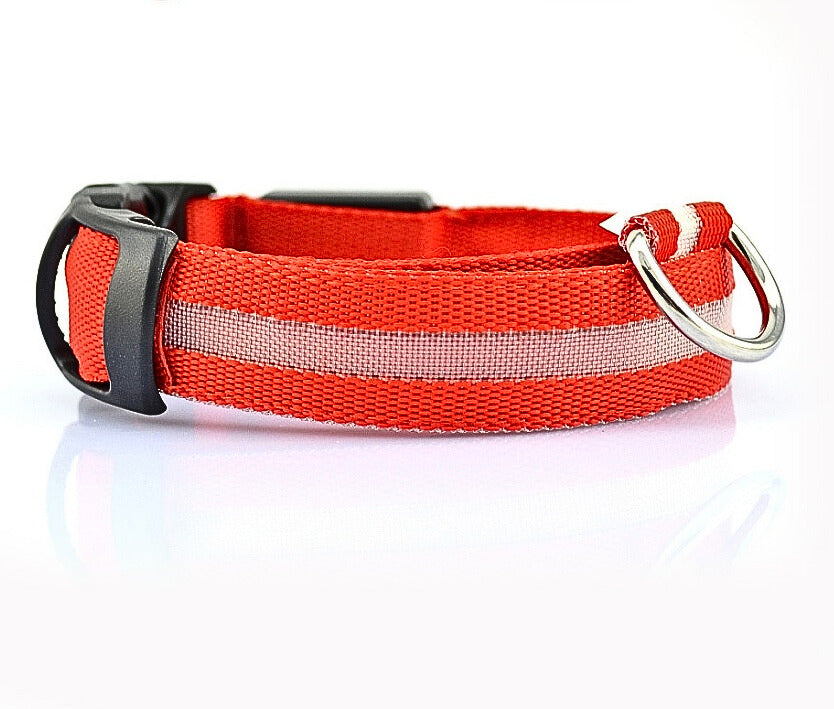 LED Hundhalsband i Nylon – Lysande & Justerbart