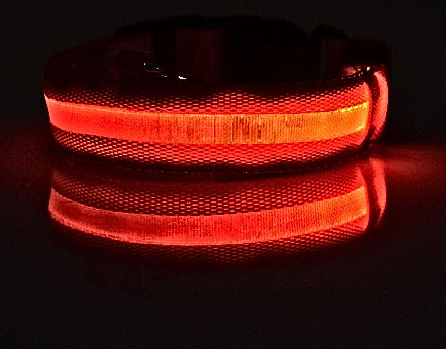 LED Hundhalsband i Nylon – Lysande & Justerbart