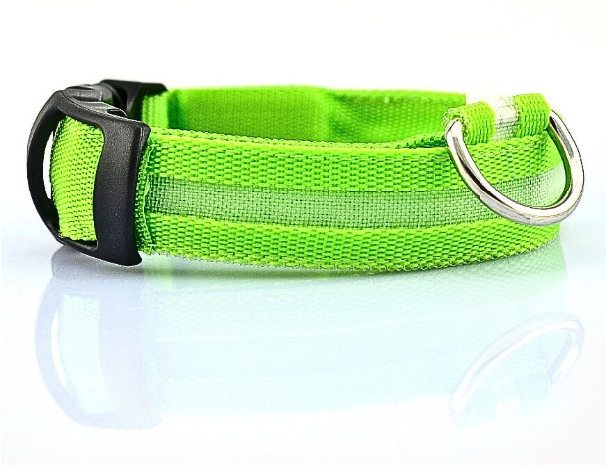 LED Hundhalsband i Nylon – Lysande & Justerbart