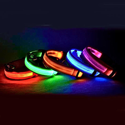 LED Hundhalsband i Nylon – Lysande & Justerbart