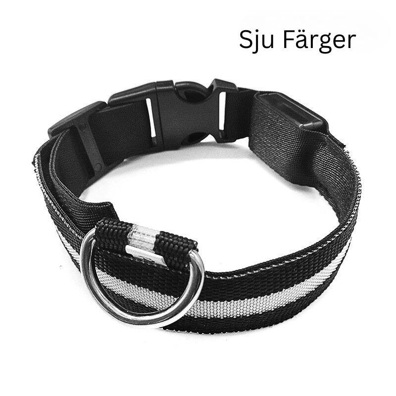 LED Hundhalsband i Nylon – Lysande & Justerbart
