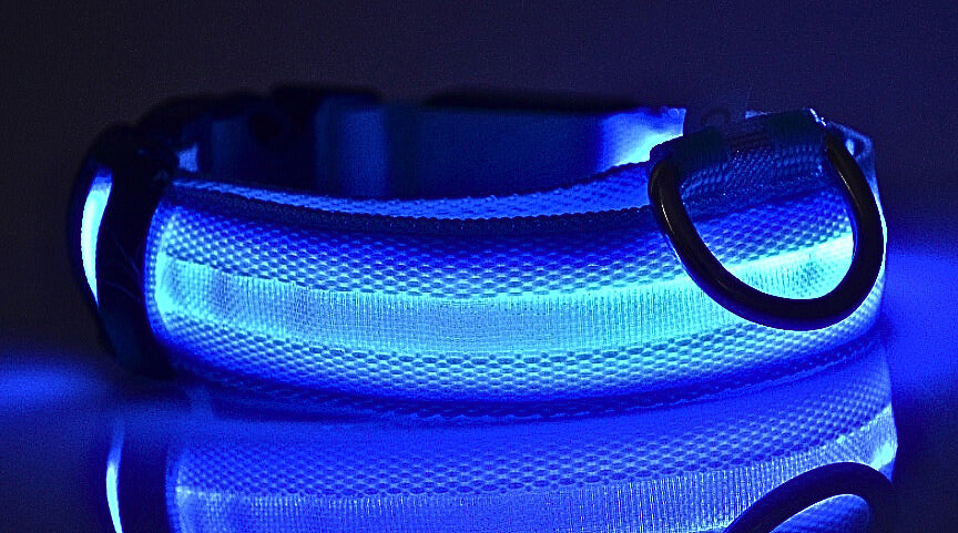 LED Hundhalsband i Nylon – Lysande & Justerbart